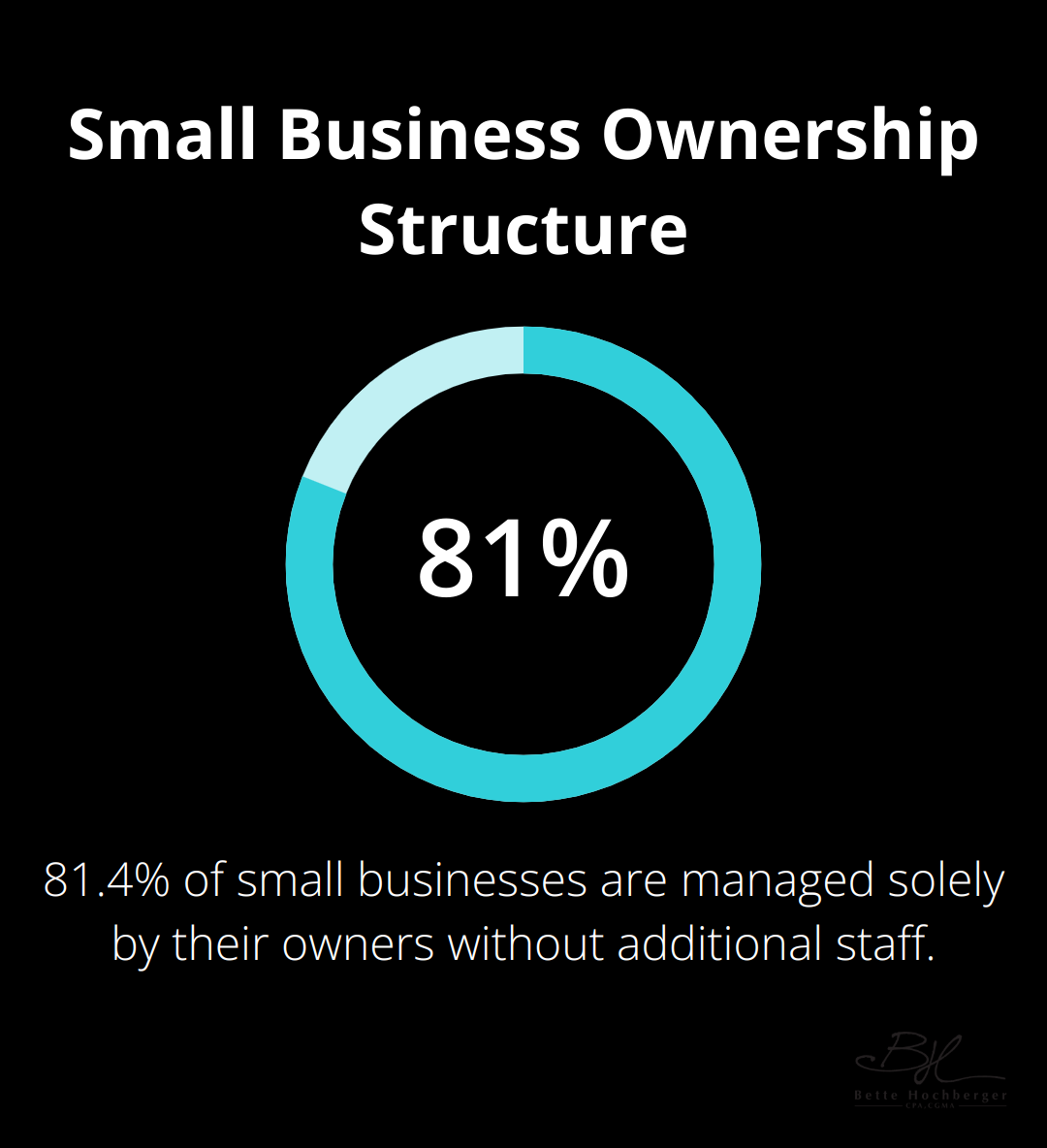 Percentage chart showing 81.4% of small businesses are managed solely by owners without additional staff - Sole Proprietorship