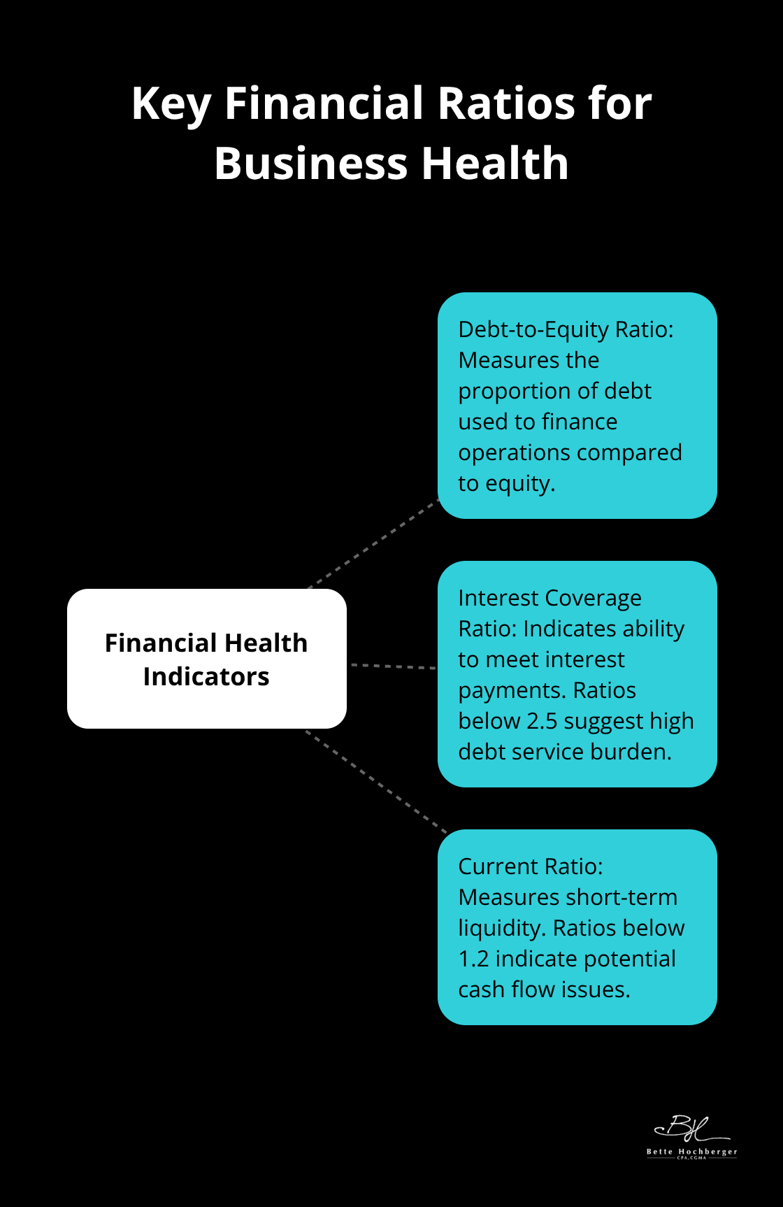 Hub and spoke chart showing debt-to-equity ratio and interest coverage ratio as key financial indicators