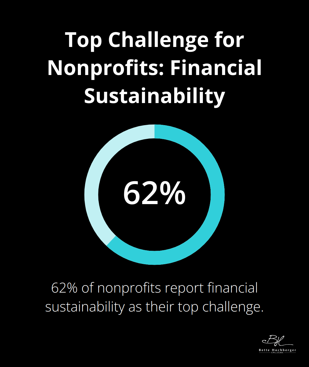 Pie chart showing 62% of nonprofits report financial sustainability as their top challenge